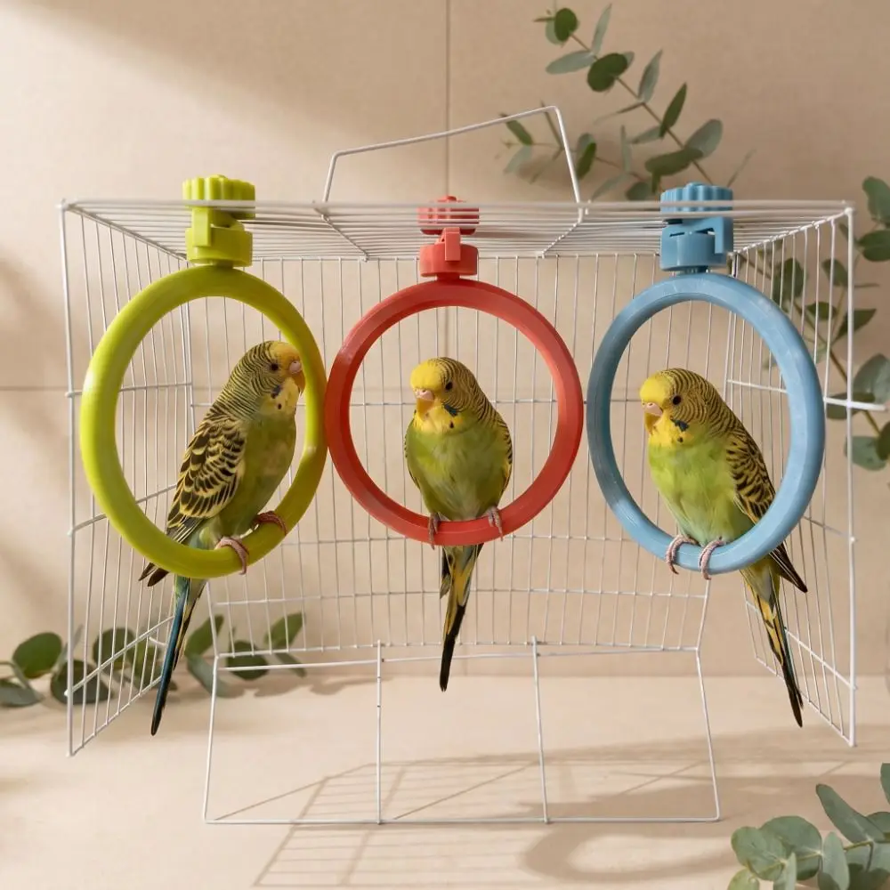 Round Rotary Bird Perch Comfortable Grip Detachable Rotating Bird Stand Quiet Easy Assemble Interactive Parrot