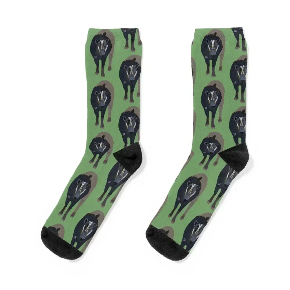 

Animals as Zookeepers : Babirusa Socks cute with print halloween Boy Socks Women's