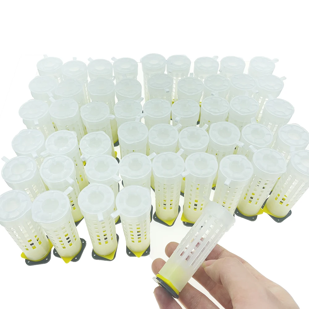 

50PCS Plastic Cover Cage For Sealed Cells Virgin Queen Protect Anti Spado Bite Introduction New Queen Bee Beekeeping Products