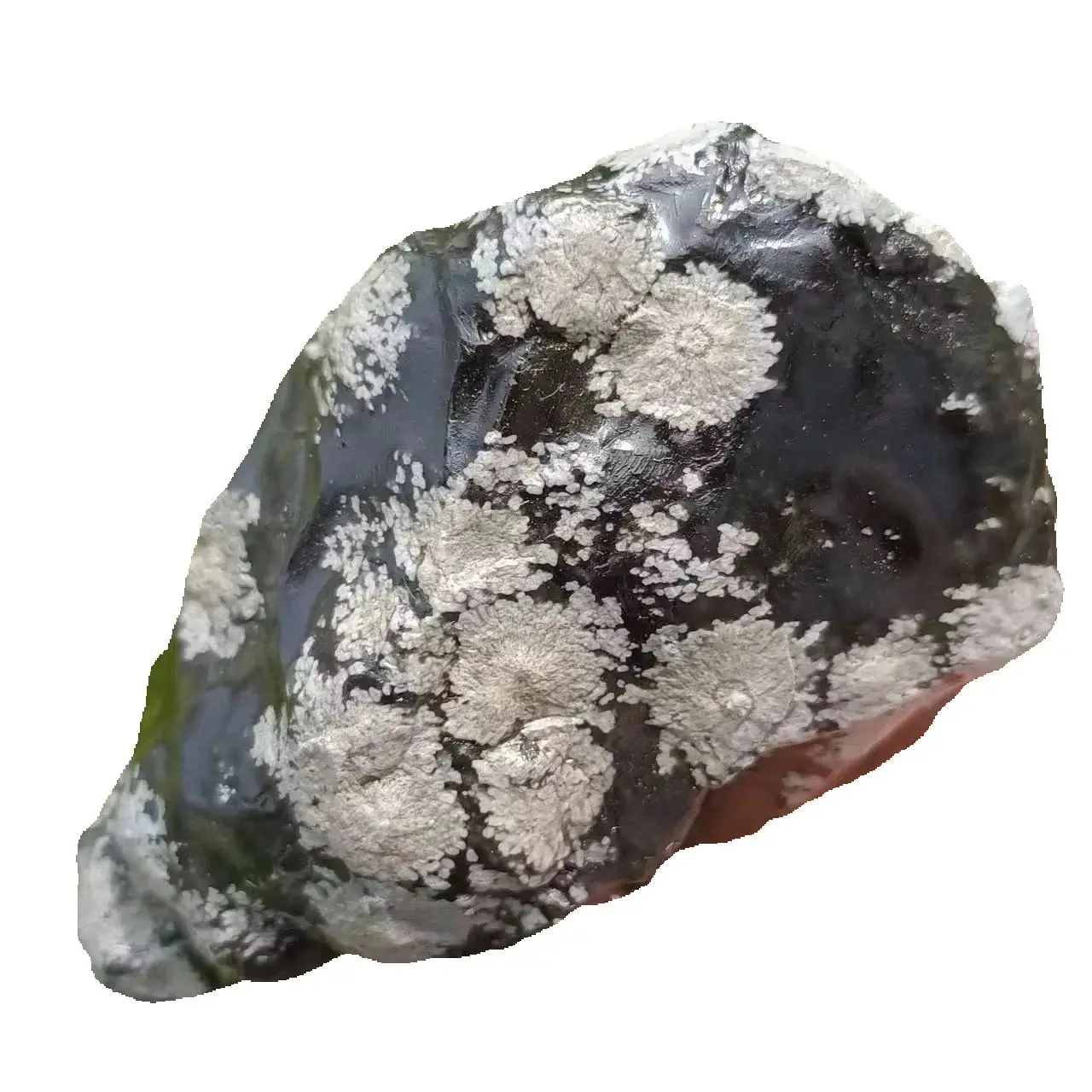 Natural Snowflake Obsidian Primordial Stone, Quartz Crystal Black Snowflake Rough Ore, Mineral, Reiki, Healing