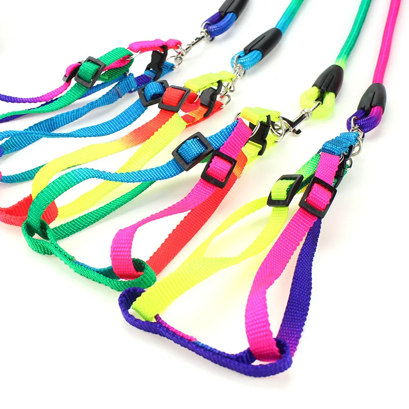 Cute Rainbow Small And Medium Dog Harness 3 Sizes Nylon Leash For Pet Dogs Cats Chihuahua/Teddy/Pit bull Walking Leash Rope