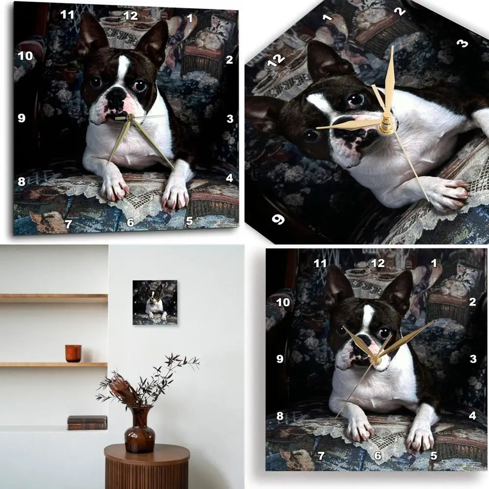 

15 Boston Terrier Philippe Wall Clock, DPP_3112_3, Stylish 15x15 Inches