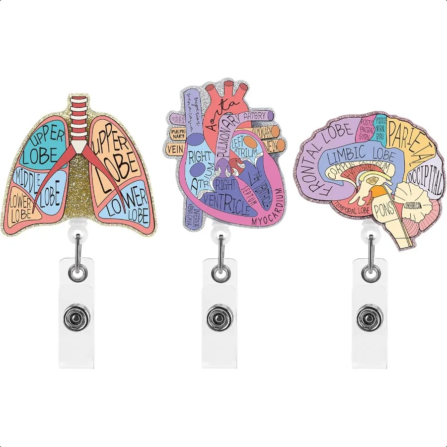 

Badge Reel 3PCS Retractable Holder Clip Cute Organ Heart Brain Lung Patterns ID Badge for Doctor Nursing Graduation Gift
