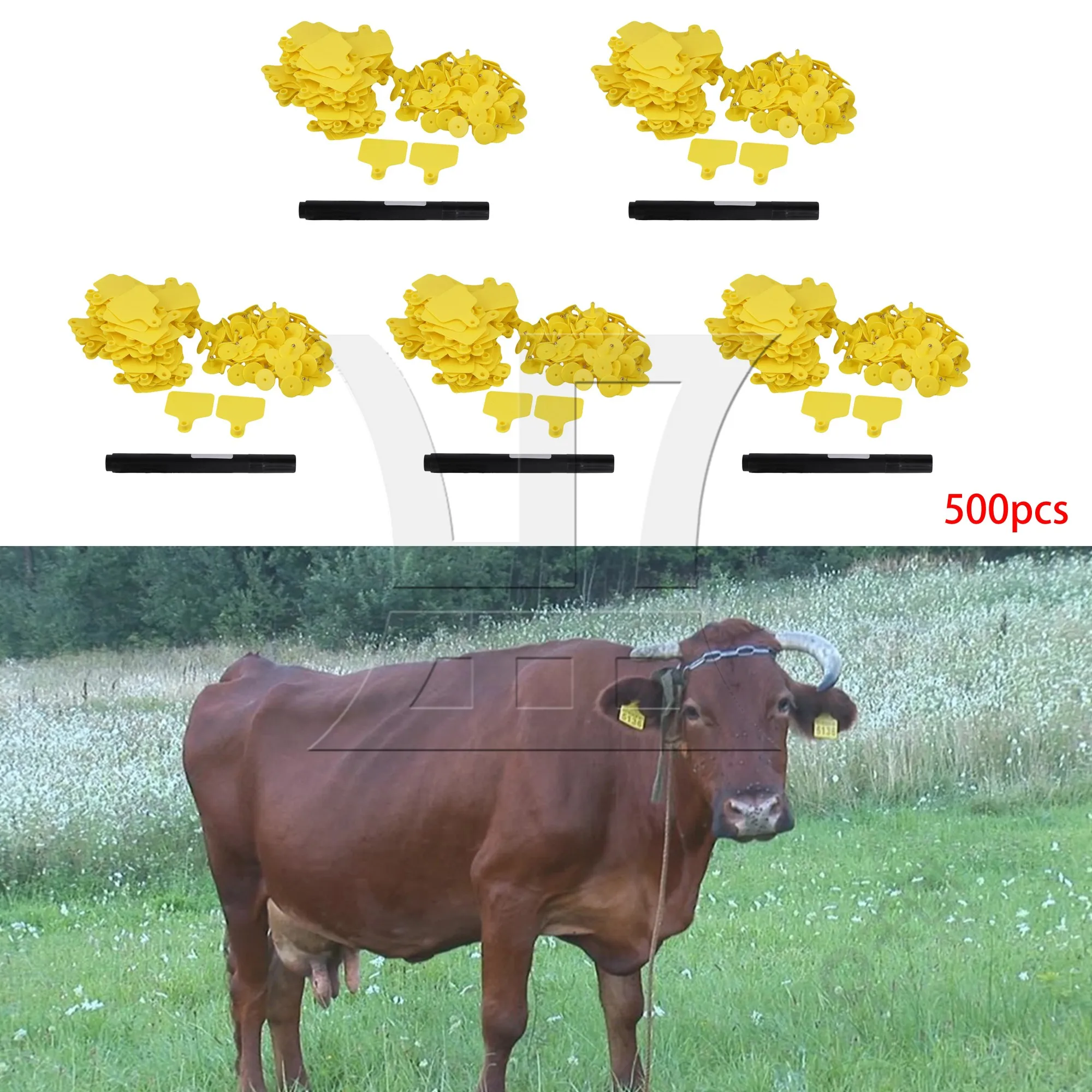 

BQLZR 500pcs Garden Ear Tags, 6x7.3cm, Yellow, Suitable For Pig Farms