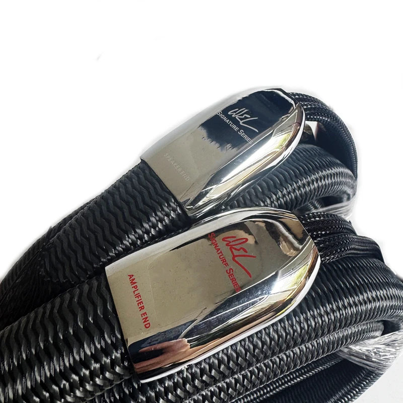 1 Paar WEL Signature Lautsprecherkabel PSS Silber BiWire 2 bis 4/2 bis 2 HiFi-Audio-Lautsprecherkabel Silber U-förmiger Stecker/Bananenstecker
