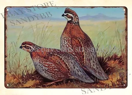 Letrero de metal para decoración de pared interior, estilo años 50, STORZ BEER LYNN BOGUE HUNT QUAIL, para caza.