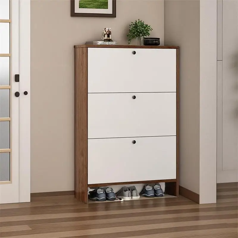 

Shelving Locker Shoe Cabinet Modular Niche Living Room Shoe Cabinet Watering Armoires Organizador Zapatos Organizer Furniture