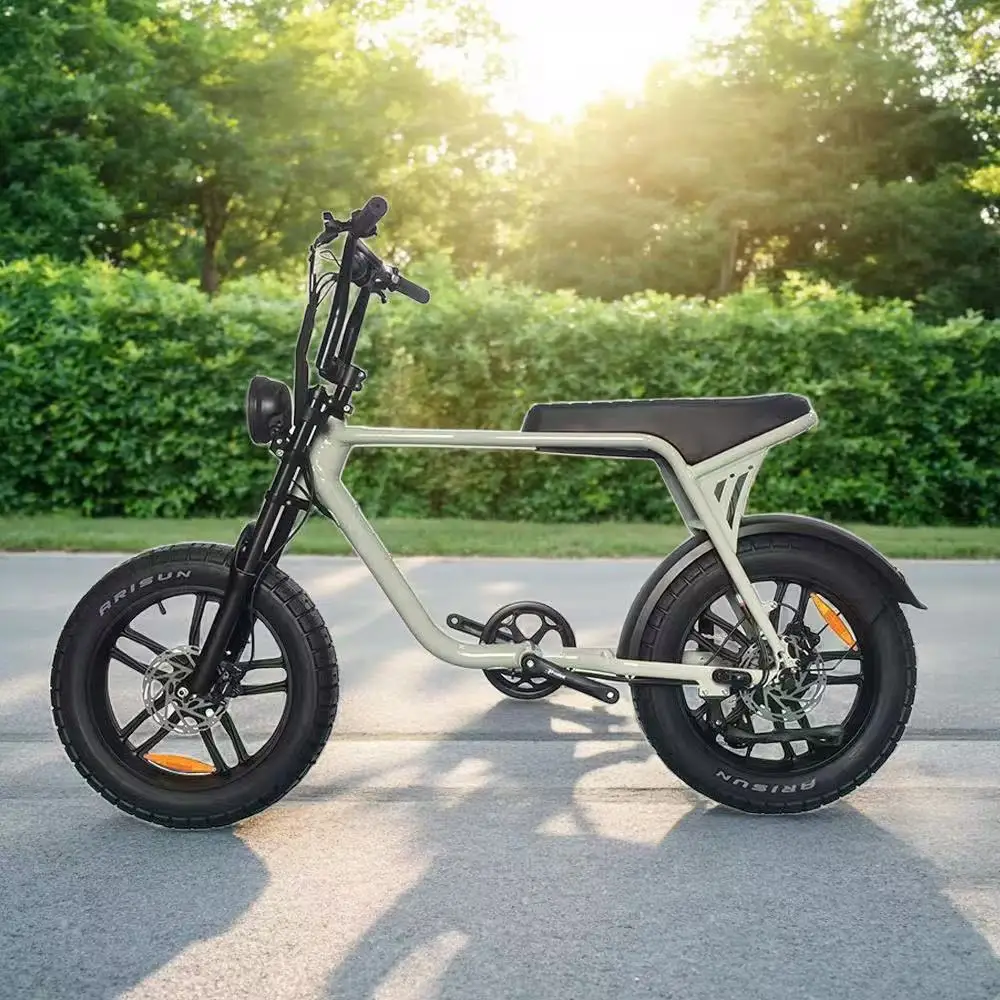 20*4 Inch Fat Tire Electric Bike 36V 750W Mountain E-Bike with Removable Lithium Battery, Hydraulic Disc Brakes for Adults