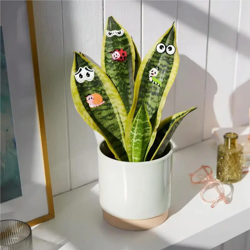 Plant Eyes For Indoor Plants 6PCS Cute Plant Magnets Eyes Funny Plant Eye Magnets For Indoor Outdoor Use Plant Lover Gifts For