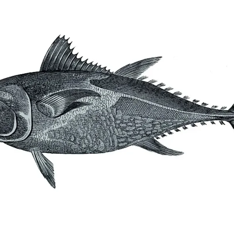 

Запасной металлический разъем для обновления автомобиля с дистанционным управлением P73440 P73441, детали, пригодные для MJX 1/7 7303, радиоуправляемый автомобиль