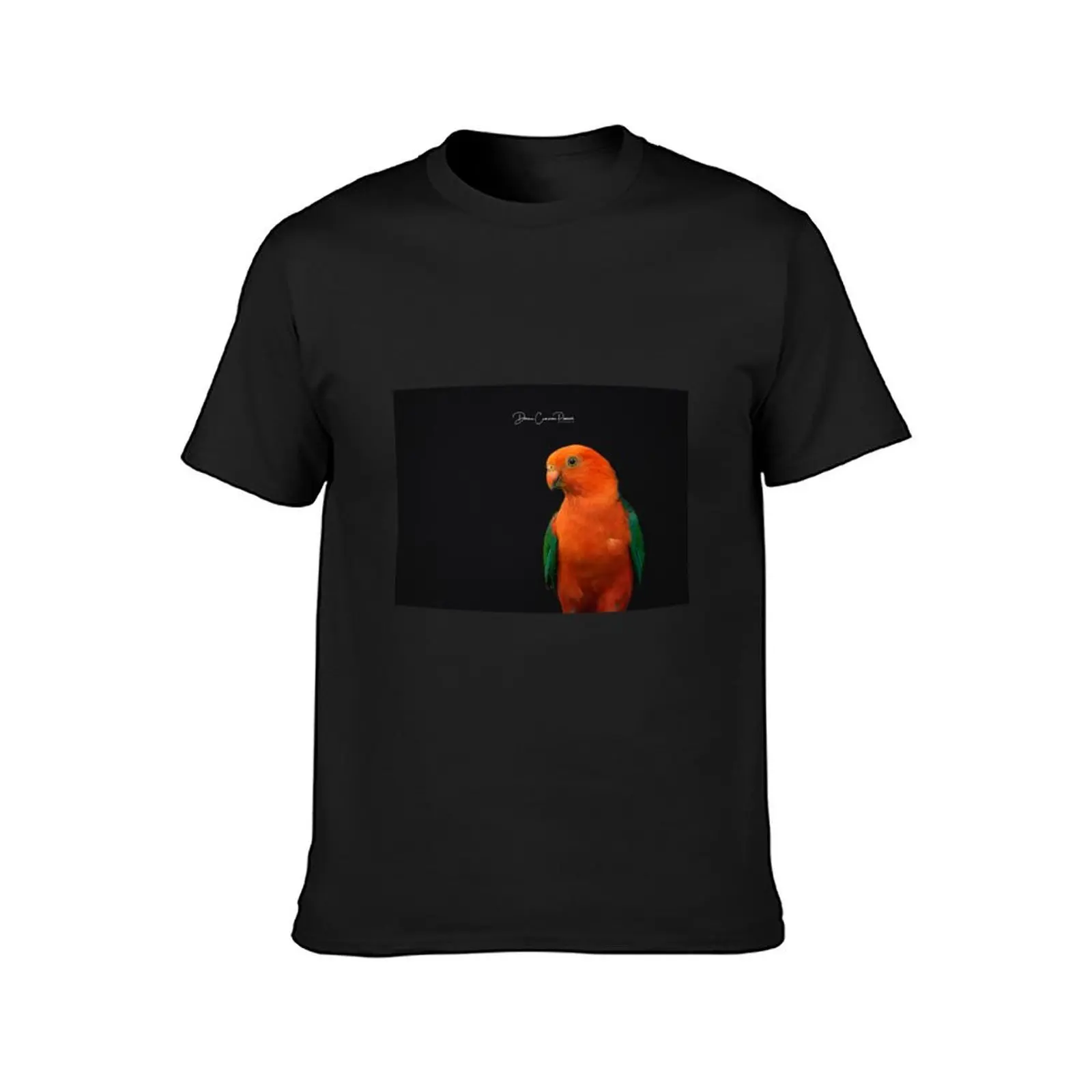 A King Parrot Posing T-Shirt quick drying oversizeds men workout shirt