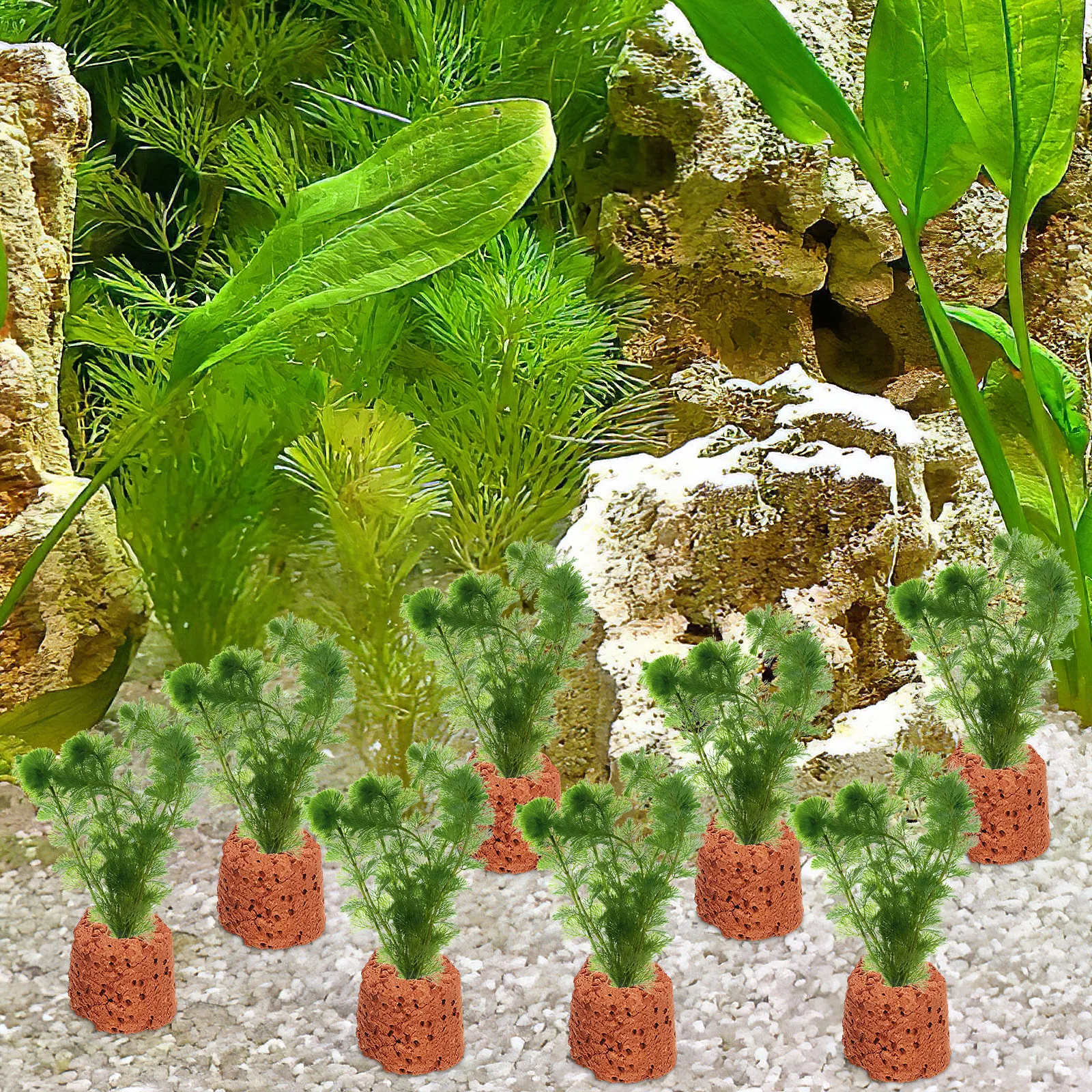 

30Pcs Water Plant Fixed Ring Pottery Gravity Ring Dark Red for Fish Tank Aquarium Landscape Decoration Plant Holder