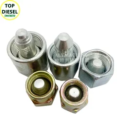 1PCS CRIN Diesel Common Rail Pump Tube Pipe Cylinder Cutout Plugs M14 M12 M16 M18 M20 for Weichai Renault Iszu Cummins