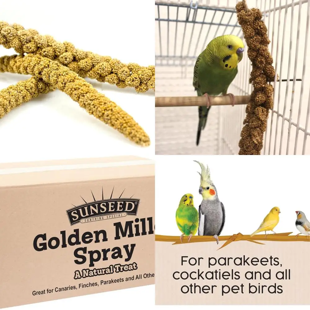 

Company Sun Seed Bss10911 Лакомства-спрей для мелких птиц, 5 фунтов