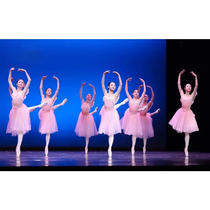 Costume da spettacolo di danza classica - Concorso di abiti da ballo professionali per adulti - Danza in abito da balletto per bambini azzurro