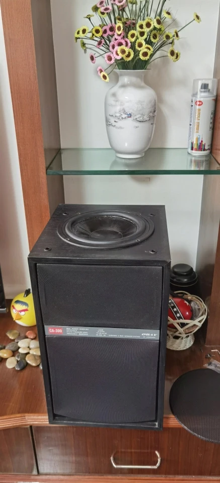 Lautsprechergitter 4-10 Zoll Deckenlautsprecher Staubdichte Dekorative Abdeckung Metall Kaltgewalzter Stahl Auto-Modifikation Schutzabdeckung – Detail 12