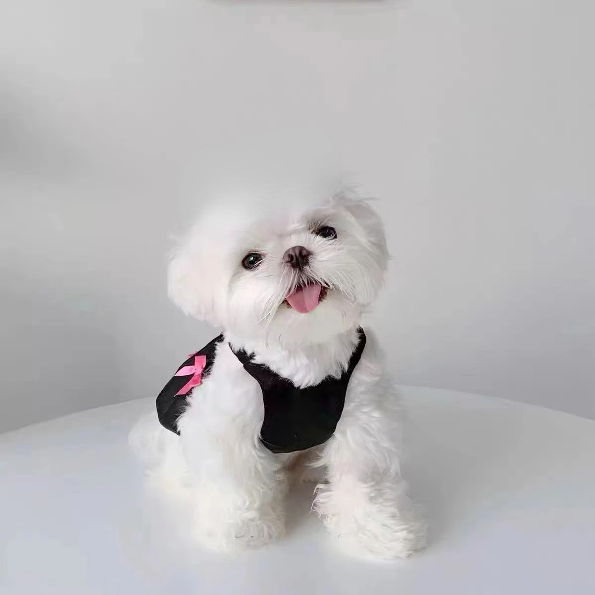 Pet Suspender Pumpkin Dress New Spring/summer Bow Dress Teddy Bear Dog Cat Clothing Puppy Clothes Dog Shirt Cooling Vest