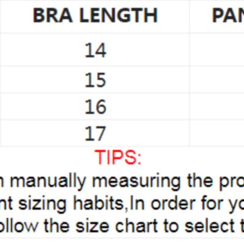 Exotic Fairy Lingerie PushUp Bra Embroidered Tulle Sheer Mesh 3Piece Transparent Intimate Wear for Women - Image 6