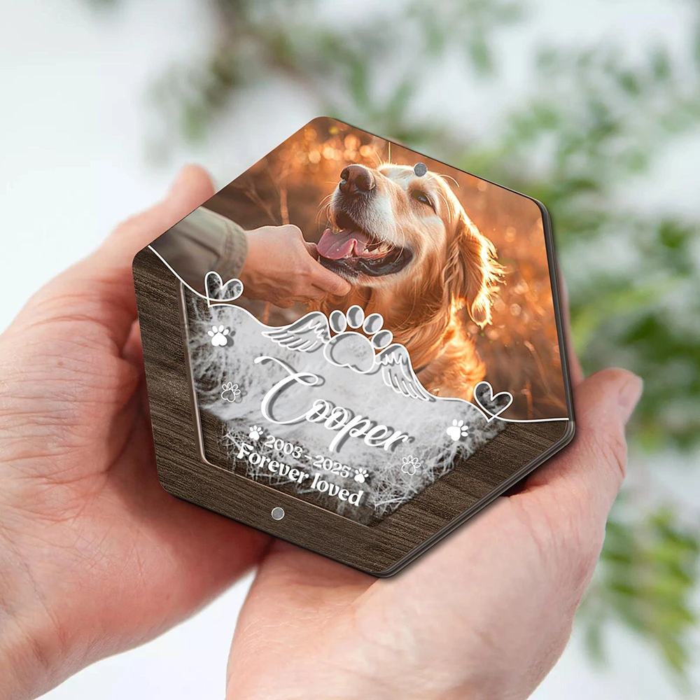 Personalized Name Wooden Carving Pet Hair Storage Box Pet Supplies Custom Dog Save Teeth Memorial Boxes Pet Lost Memorial Gifts