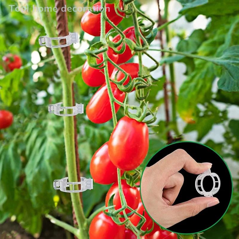 100 Morsetti per piante, Morsetti per piante in plastica per piante rampicanti, Morsetti di supporto per piante riutilizzabili per pomodori e piante rampicanti