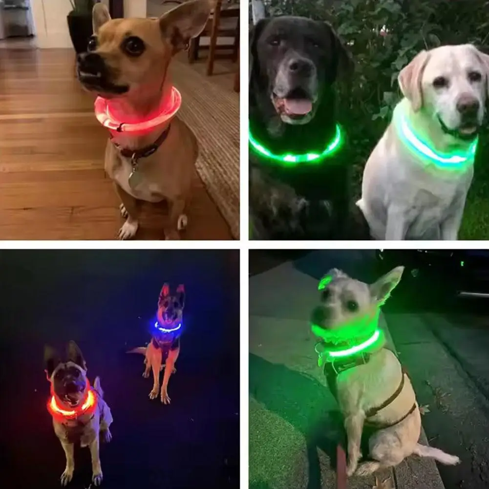 Thumbnail 4 - #68 Best Selling LED Dog Collars
