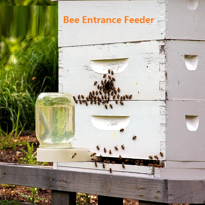 

4pcs Bee Entrance Feeder Beehive Feeder Water Plastic Bee Drinker Tool Beekeeping Bee Feeder Drinking Water Beekeeping Tools