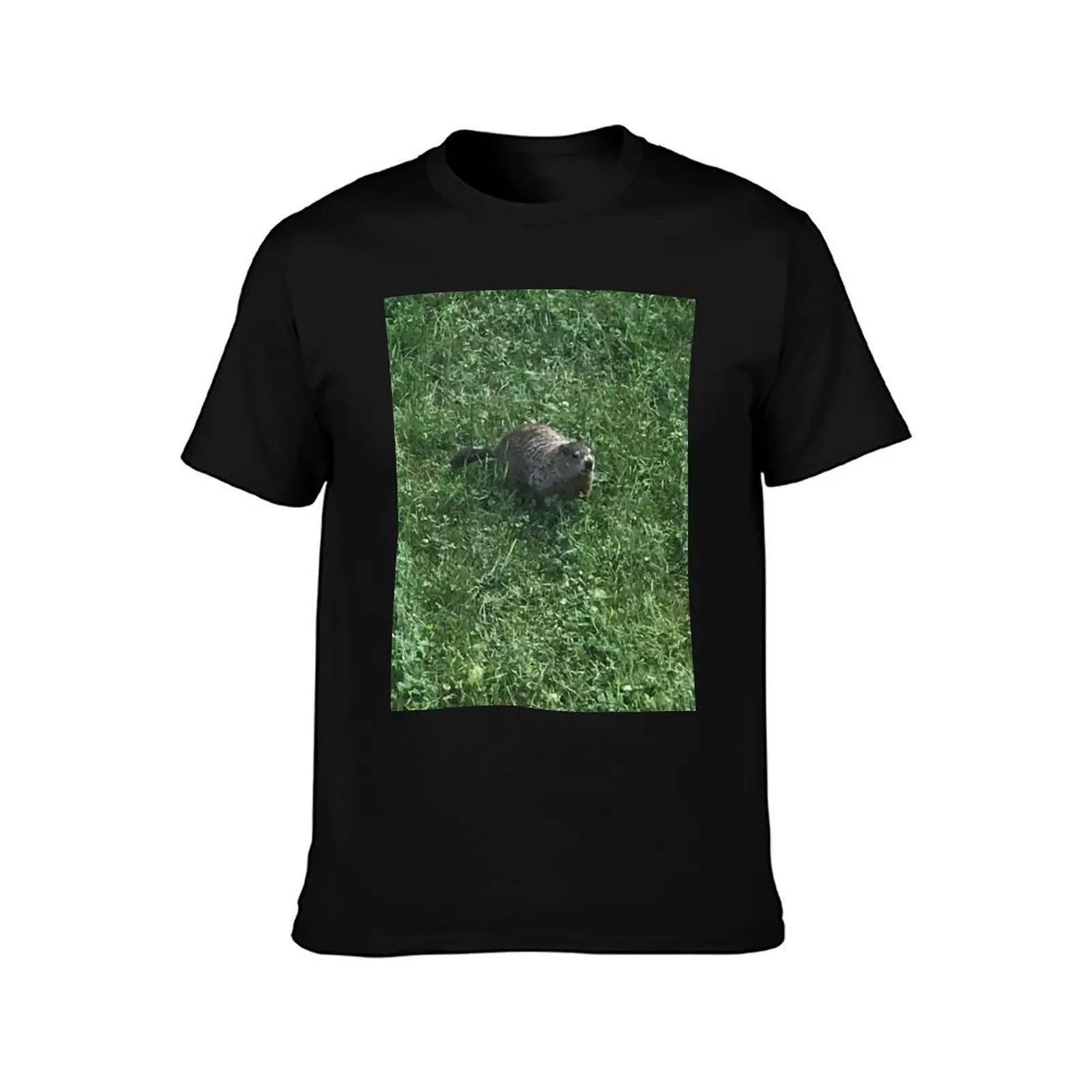 The curious wild woodchuck that chucks wood! T-Shirt Construction Work Tee Shirt T-Shirt