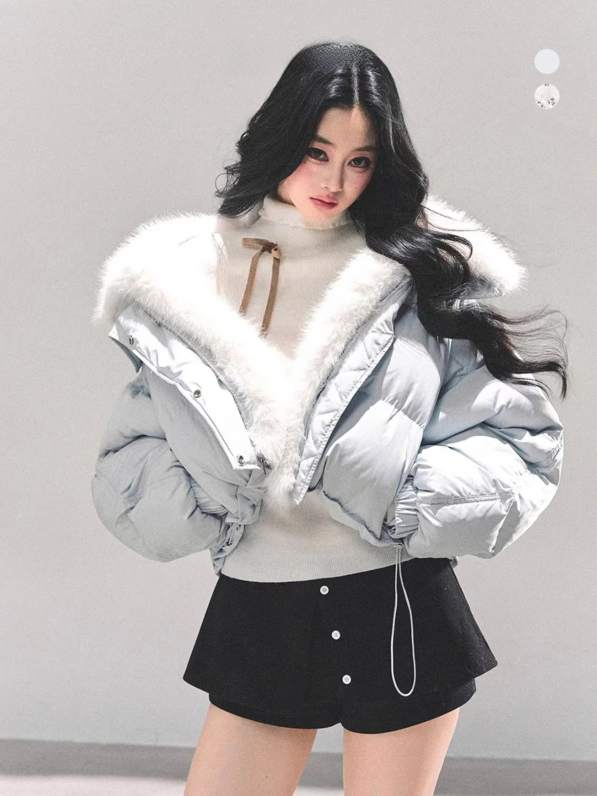 

Aomalm Women's Short down Jacket Warm Thick Duck Feather Coat Stylish Elegant Style Polyester Fabric Long Sleeve Zipper Closure