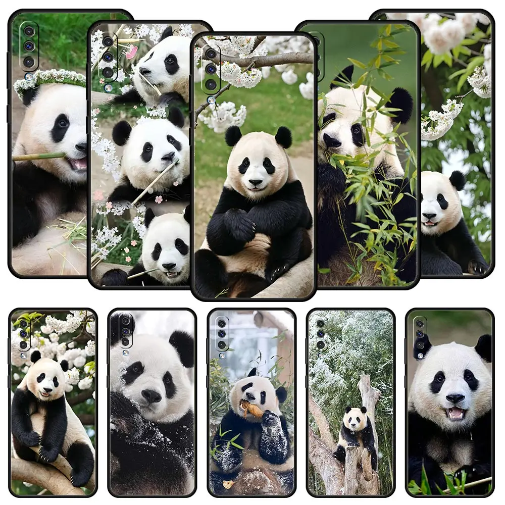 Phone Case For Samsung A24 A12 A14 A32 A50 A70 A20E A20S A10S A22 A30 A40 A34 A54 A42 A52 5G A02S A04s Cover Fubao panda