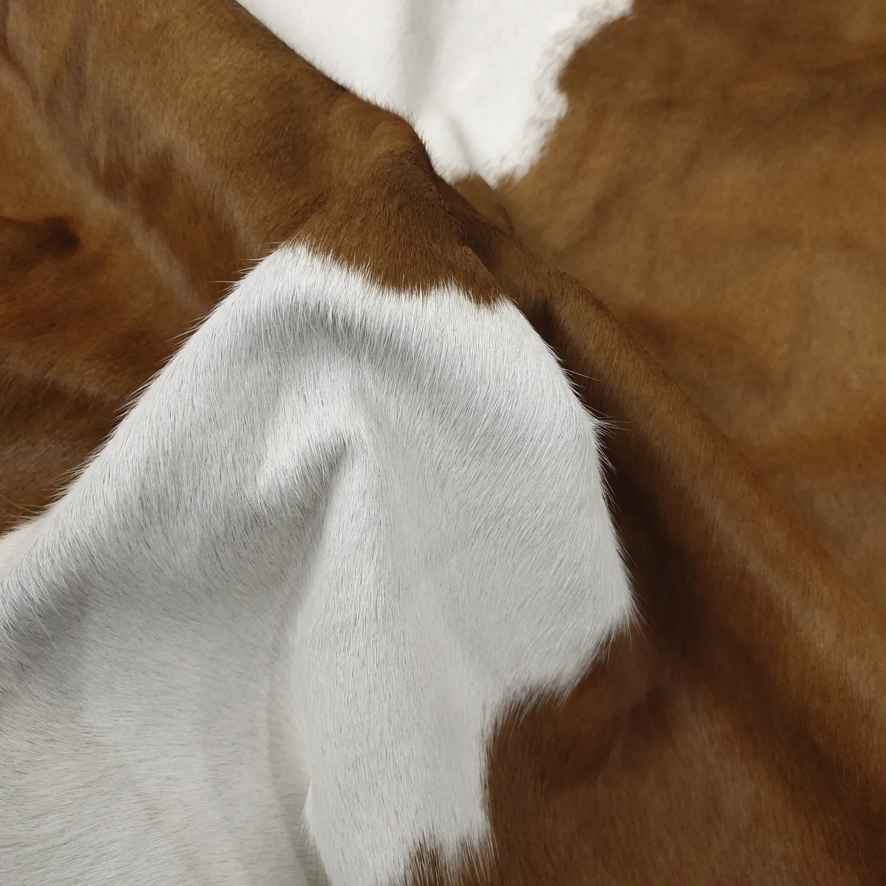 Brown and white cowhide living room rug Natural genuine Cow  Leather Area carpet Hair On