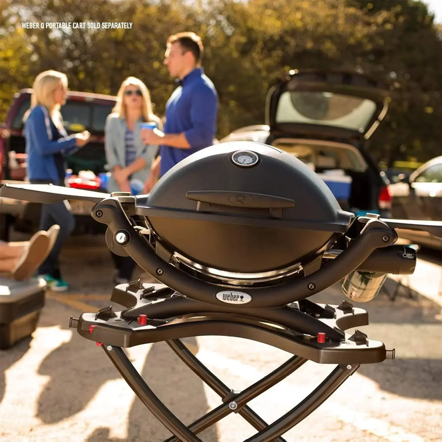 Christmas.Weber Q1200 Liquid Propane Grill, Black