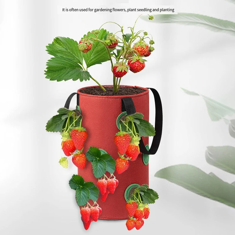 3Pcs Multi-Function 12 Holes Felt Hanging Tomato Grow Bag Planter Vegetable Flower Plant Grow Bags Garden Plant Pot, Durable C