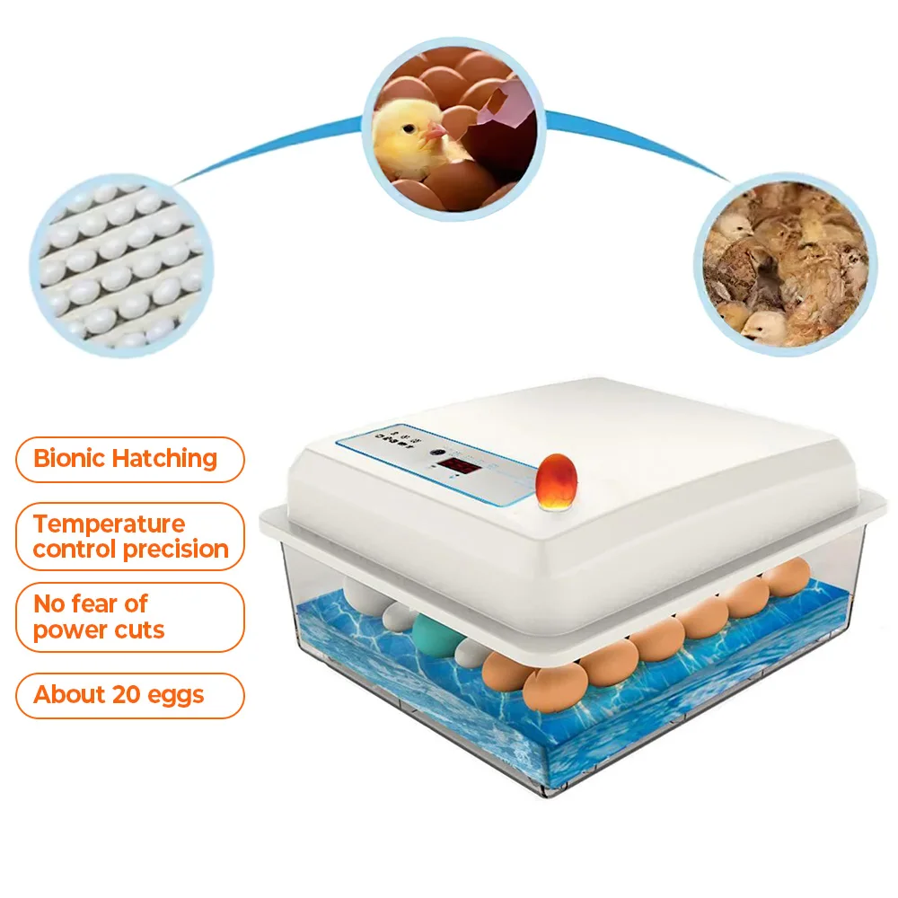 20 Egg Automatic Incubators Plastic Waterbed Temperature Control Hatching Box for Raising Geese and Ducks to Breed Bird Eggs