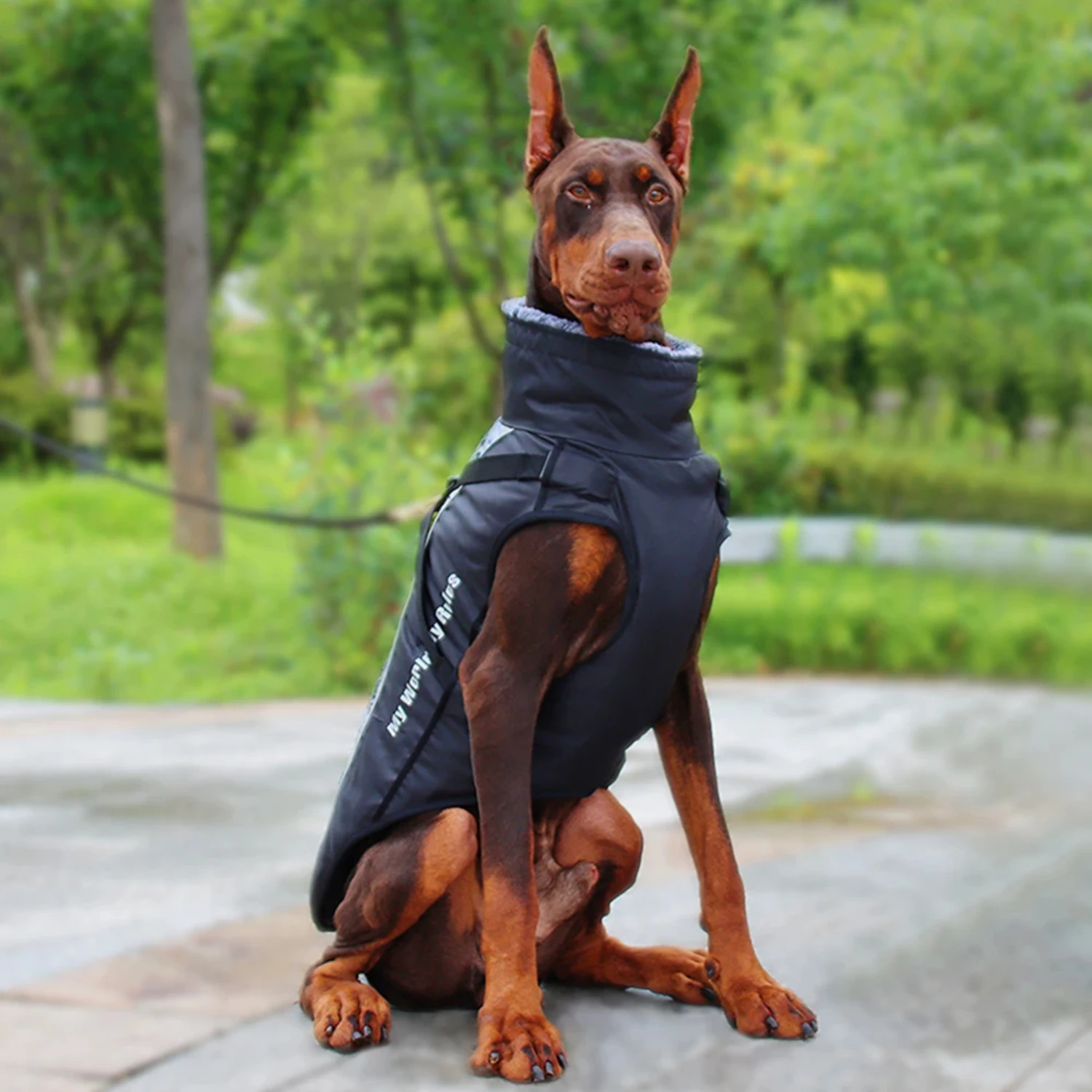 Veste chaude pour chien de compagnie avec SFP, manteau de coulée d'hiver, tenues de bouledogue français, vêtements pour animaux de compagnie, vêtements de Noël moyens, grand