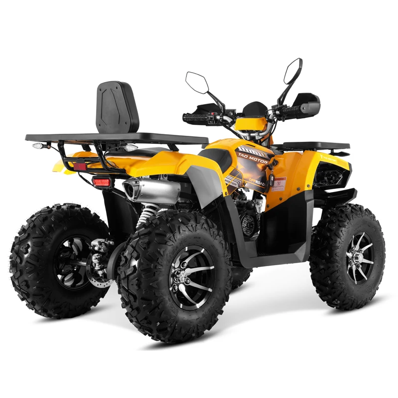 Tao Motor 2025 New Chain Drive Automatic Quad Bike 4 Wheeler Adult ATV 200cc Cuatrimotos
