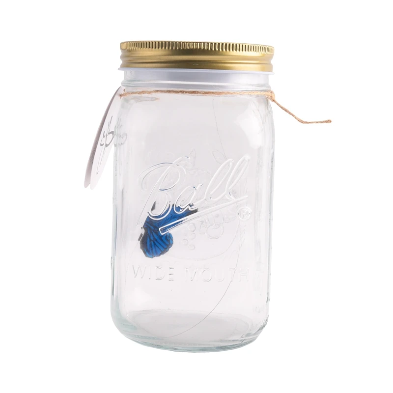 Simulation Butterfly Collection In A Jar, Butterfly Jar That Moves, LED Light Romantic Glass Animated Butterfly Blue Easy To Use