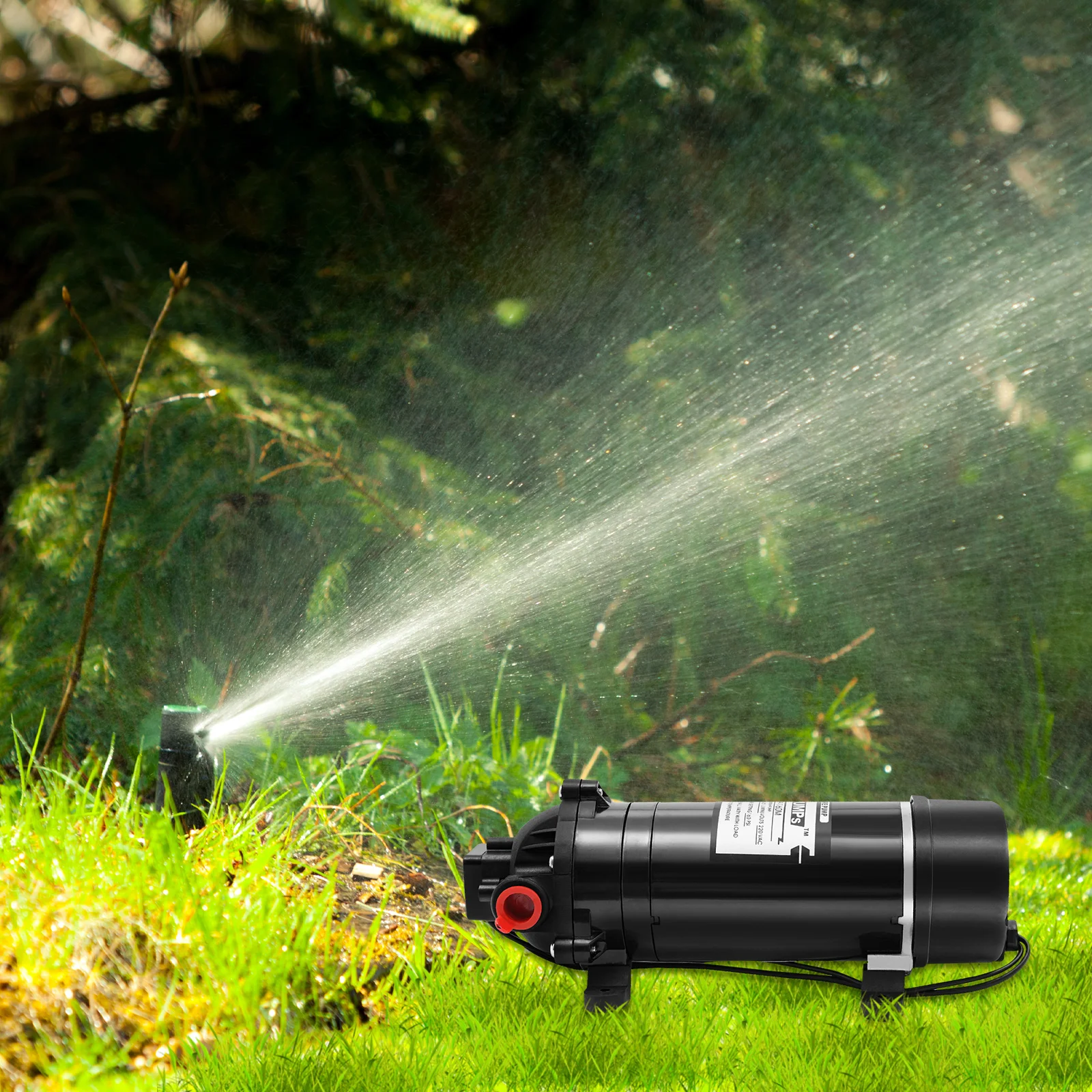 120W 160PSI Elektrische Wasserförderpumpe 1,4 GPM Selbstansaugende Membranpumpe für Hochdruckreiniger, Wohnmobile und landwirtschaftliche Sprühgeräte – Detail 20