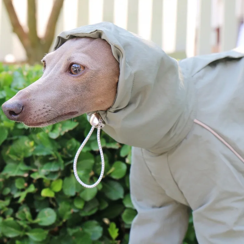 Abrigo verano impermeable ajustable para Galgos y Whippets grandes - imagen 3