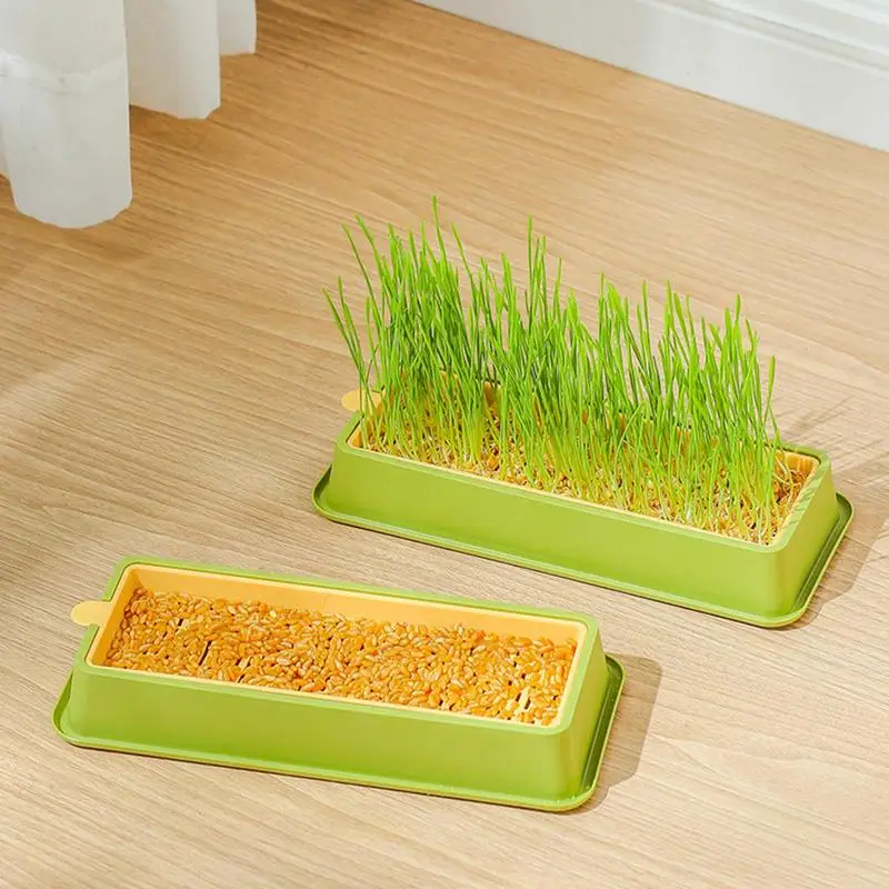 Cat Grass Growing Kit Layered Cat Plant Soilless Convenient Cat Grass Kit 4 Styles Pet Supplies Multifunctional For Veterinary