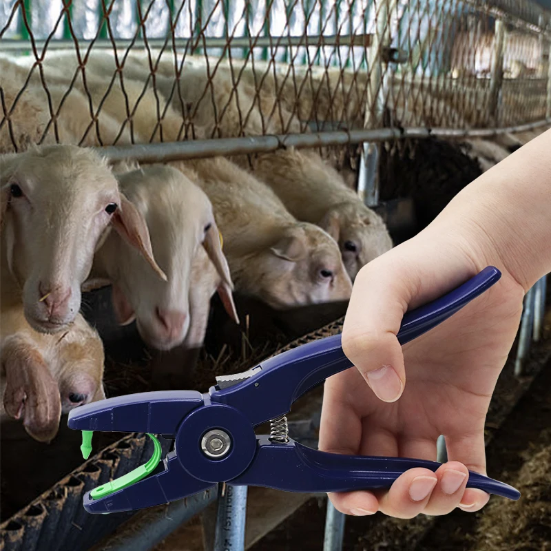 100個入り 家畜用 ヤギ プラスチック製 耳標プライヤー 犬 ウサギ 羊 耳標 識別カード 文字入り レーザーマーク 001-100