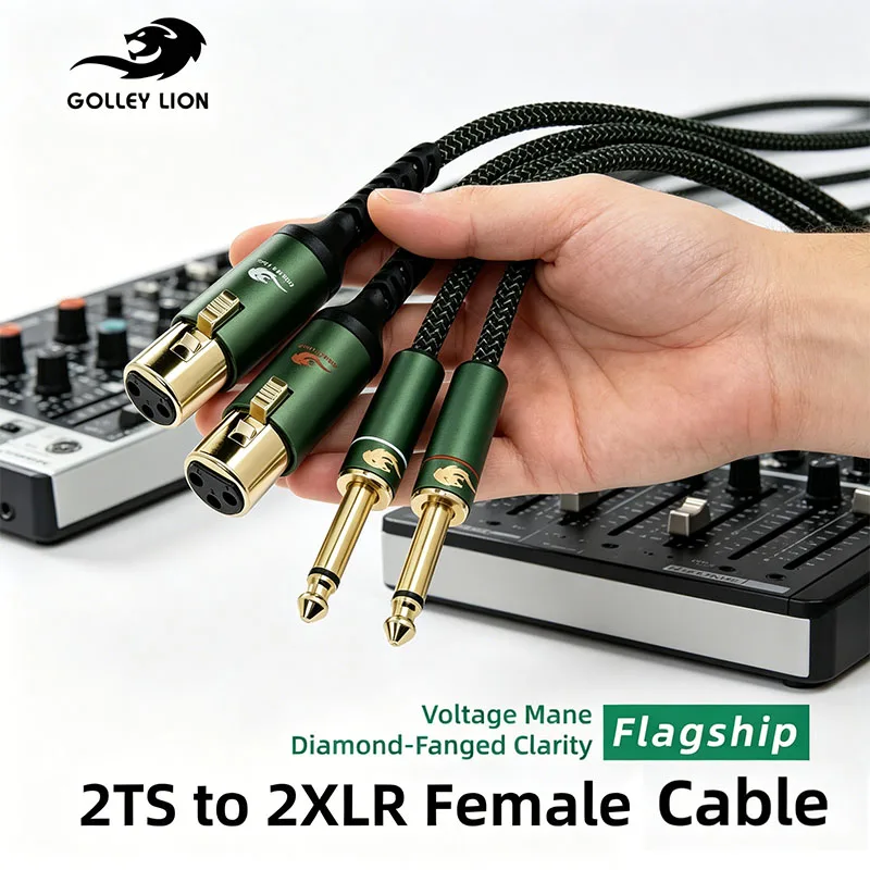 

GOLLEY LION HIFI 2x6.35mm TS to 2xXLR Female Audio Cable Gold-Plated Connector Shielded Noise-Free Stereo Cable for Studio Recor
