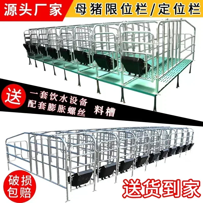 5-bit Sow Restriction Pen With Manure Plate Floor-mounted Simple Farrowing PenThickened Hot-dip Galvanised Breeding Equipment