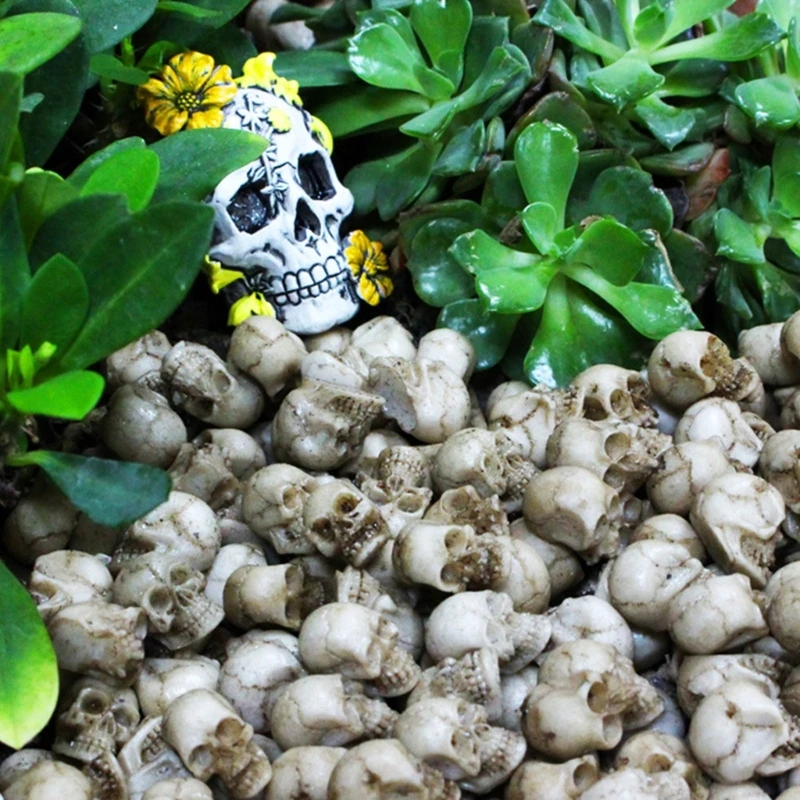 40pcs Small Collection Mini Skull Models for Home Decor and DIY Project
