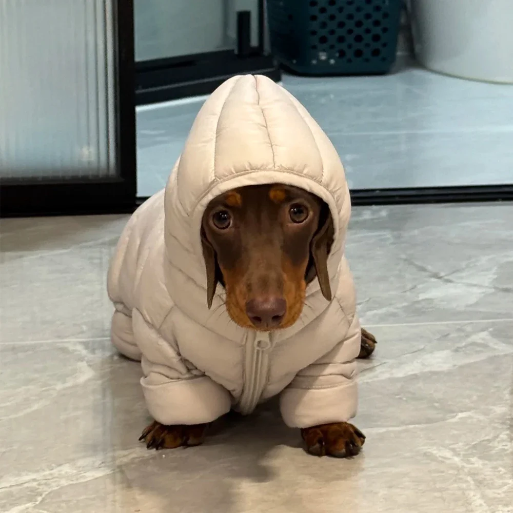 abrigo-de-plumon-azul-de-cuatro-patas-para-invierno-ideal-para-perros-de-raza-wiener-chaqueta-suave-resistente-al-viento-y-con-cuello-alto-perfecta-para-perros-de-raza-dachshund-abrigo-grueso-y-calido-para-perros-de-raza-badger