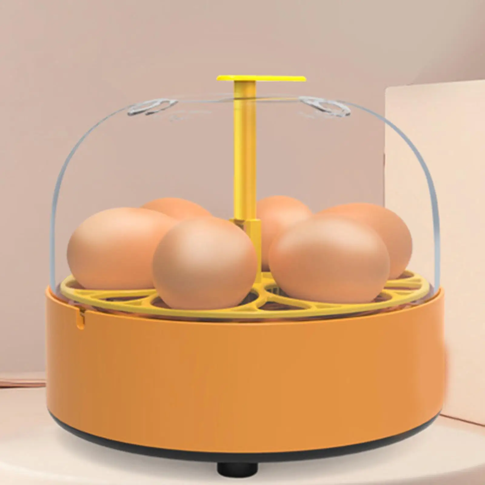Inkubator do jaj Wtyczka EU Niezawodny mini inkubator do użytku domowego Jaja kurze