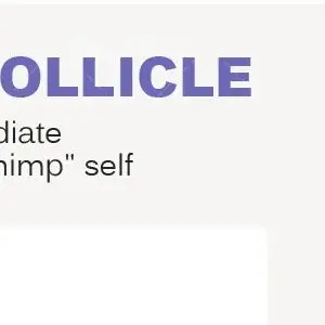 

Аппарат для удаления волос 2-в-1: диодный и пикосекундный лазер 808 нм, с функцией удаления татуировок, 3 длины волны (755 нм, 808 нм, 1064 нм)