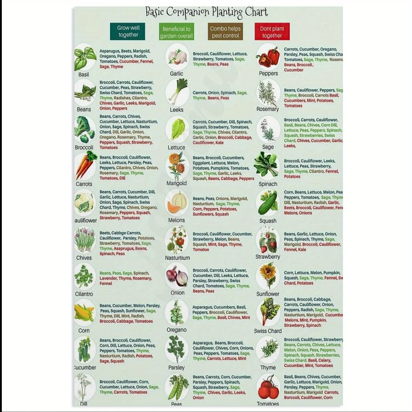 FIDSUY Basic Companion Planting Chart Poster Canvas Garden Planting Guide with Colorful Illustrations,Frameless Wall Artfor Home