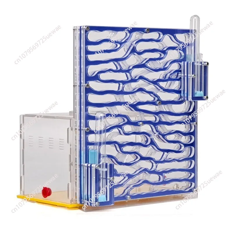 

Factory direct sales transparent acrylic pet ant climbing tree palace castle ecological box workshop tribal home sand nest