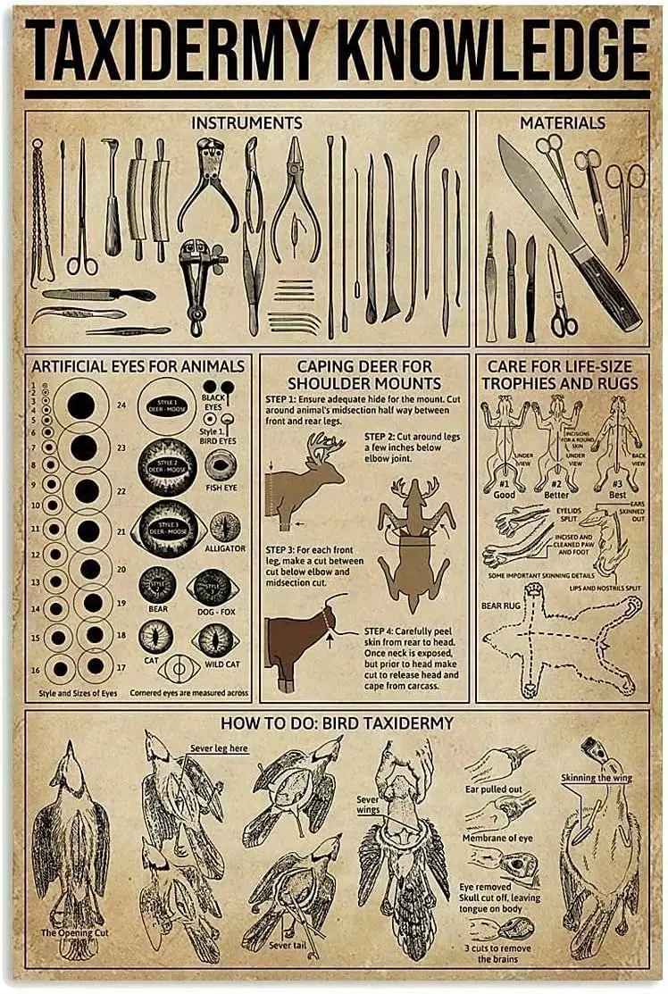 Affiche métallique et plaque en étain sur le thème de la taxidermie, instruments et matériaux, décoration murale artistique pour école, café, chambre, salle de bain, cuisine, maison