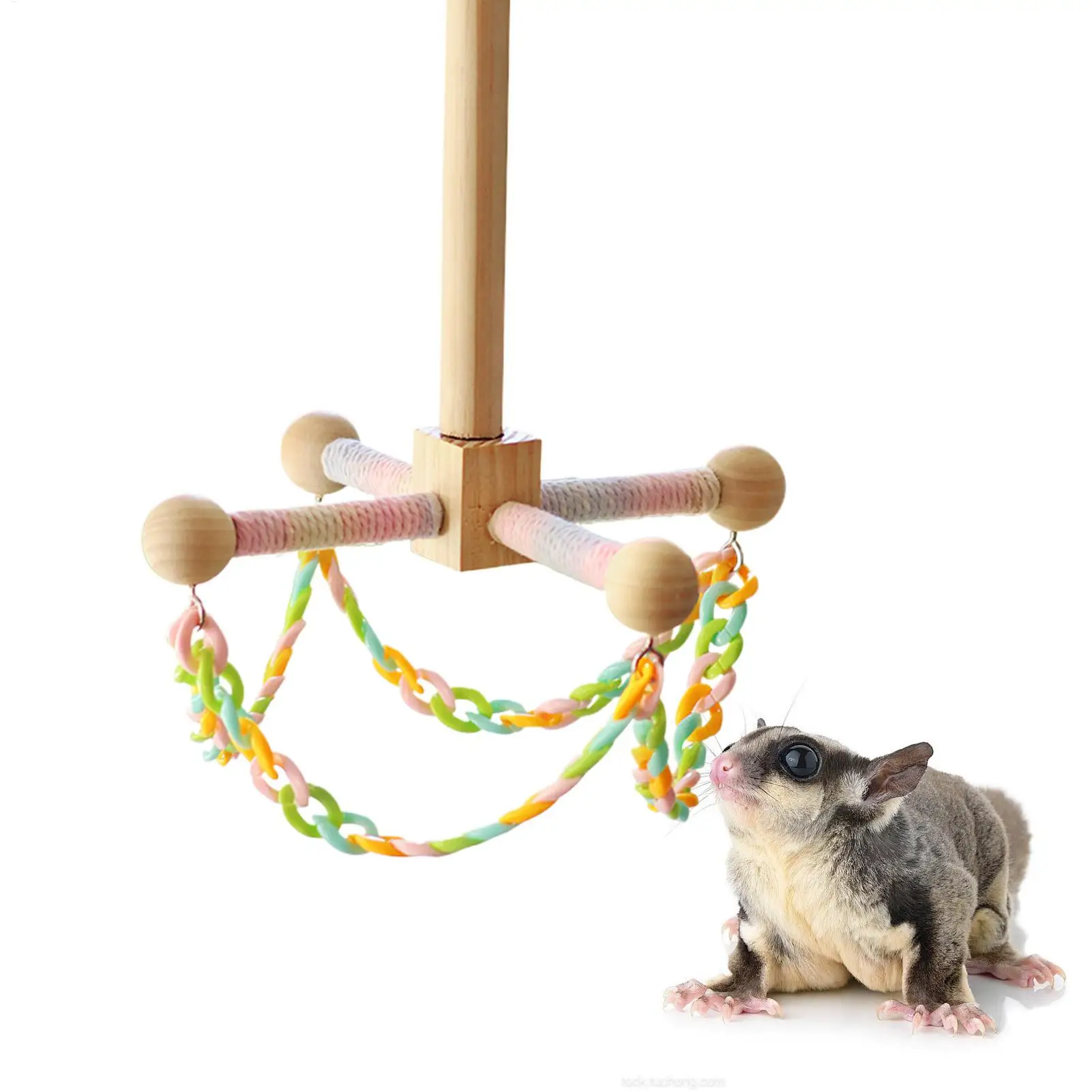 Vogelschaukel für Käfig Holzspielzeug für Kleintiere Hamster Meerschweinchen Igel Sittiche Nymphensittiche Interaktives Kletter- und Spielspielzeug